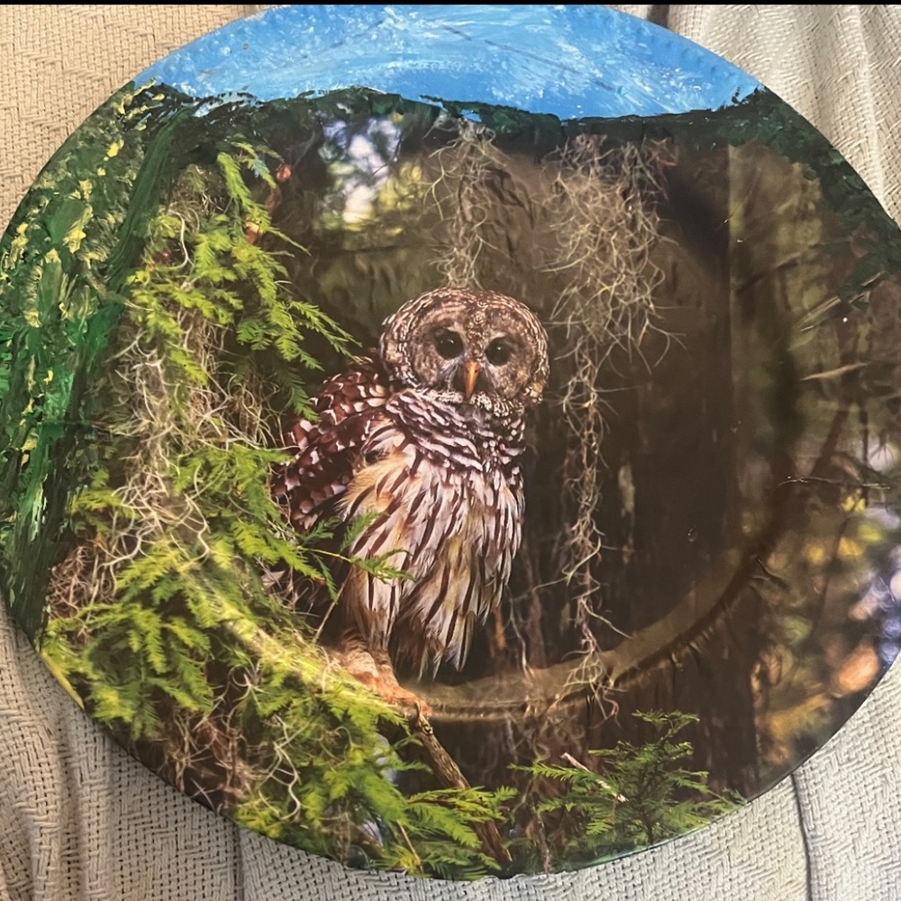 Owl Plate in a Scenery Background